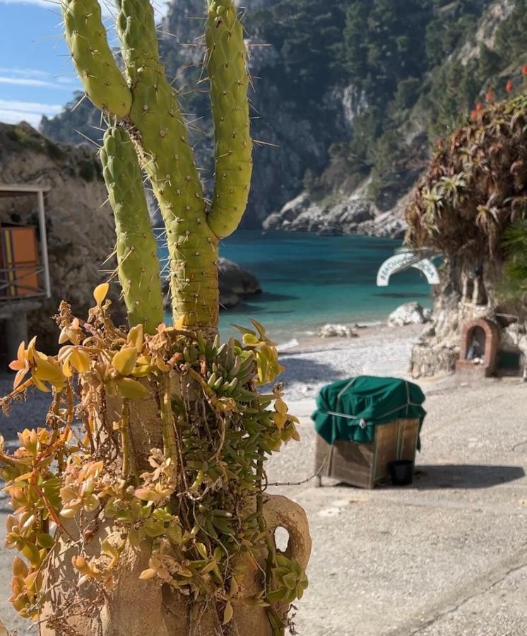 Capri Magic House On The Beach Exterior photo